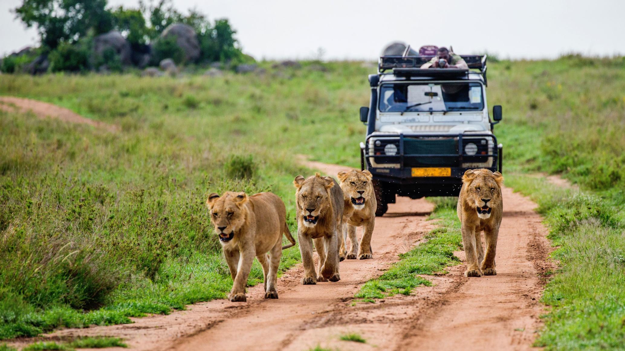 Kenya-1